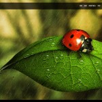 Fabseries themes 2012-07-21 12-30-18