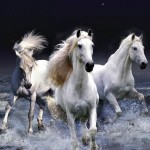 Three-Horses