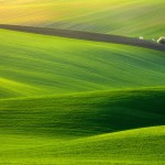 spectacular-green-field-1920x1200-wallpaper-9036