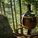 hemloft-secret-treehouse-hiding-in-the-woods-of-whistler-canada-2